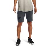 Pantaloni scurti barbati Under Armour Project Rock Terry 1377429-012, XS, Gri