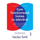 Cum Functioneaza Lumea Cu Adevarat - Vaclav Smil, Editura Lifestyle