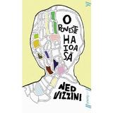 O poveste haioasa - Ned Vizzini, editura Grupul Editorial Art