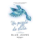 Un puzzle de sticla. Seria Fata invizibila Vol.2 - Blue Jeans, editura Rao