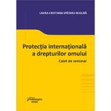 Protectia internationala a drepturilor omului. Caiet de seminar - Laura-Cristiana Spataru-Negura, editura Hamangiu