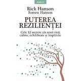 Puterea rezilientei - Rick Hanson, Forrest Hanson, editura Litera