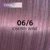 vopsea-translucida-demipermanenta-wella-professionals-shinefinity-zero-lift-glaze-nuanta-06-6-cherry-wine-blond-inchis-violet-60-ml-1682575638612-1.jpg