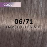 vopsea-translucida-demipermanenta-wella-professionals-shinefinity-zero-lift-glaze-nuanta-06-71-frosted-chestnut-blond-inchis-saten-cenusiu-60-ml-1682575697979-1.jpg