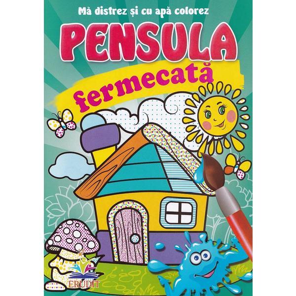 Casuta. pensula fermecata. ma distrez si cu apa colorez, editura pegas