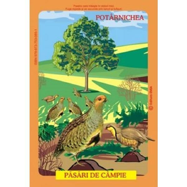 Planse: Pasari din fauna romaniei care traiesc la campie - Olivia Cimpean, Istina Mirescu, editura Emia