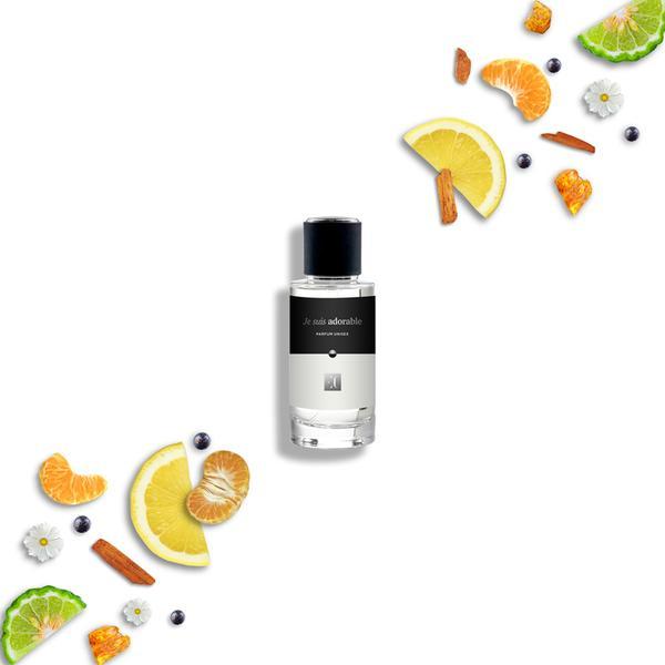 Parfum unisex EC 321 Nisa, Silver Mountain Water, Citric/Ambrat 50 ml esteto