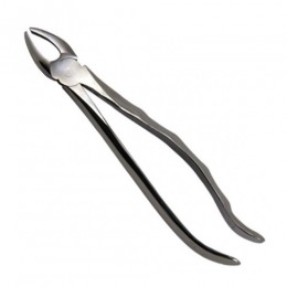 Cleste 18 prima - molar superior stanga