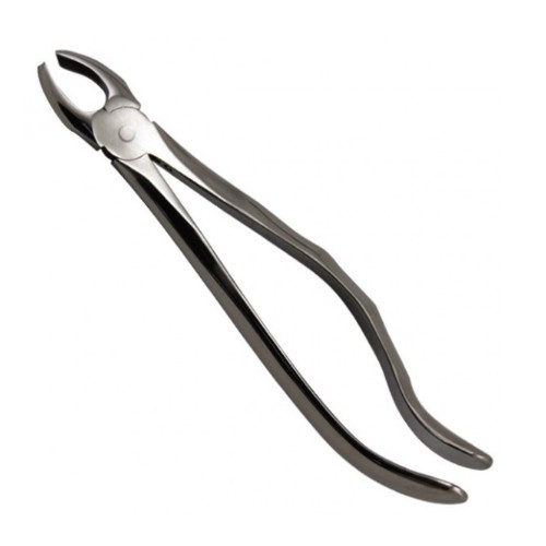 Cleste 17 Prima - Molar superior dreapta