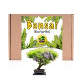 Kit de cultivare bonsai Wisteria - Arta miniaturala a naturii