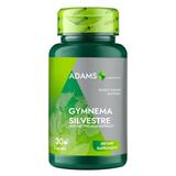 Gymnema Sylvestre 400 mg Adams Supplements, 30 capsule