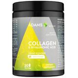 Colagen cu Acid Hialuronic Pulbere cu Aroma de Vanilie Adams Supplements Collagen & Hyaluronic Acid Drink Powder, 600 g