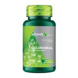 Gentiana 1000 mg Adams Supplements Goldsenseal Liver & Digestive Support, 30 capsule