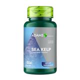 Sea Kelp 600 mg Adams Supplements Thyroid Support, 30 capsule