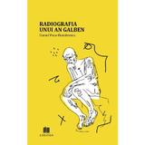 Radiografia unui an galben - Daniel Puia-Dumitrescu, Editura Creator