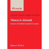 Munca la distanta - Ana-Maria Vlasceanu, Madalina-Ani Iordache, editura C.h. Beck