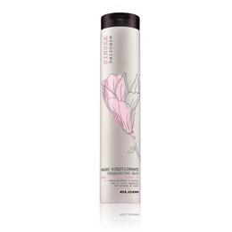 Sinsea Sampon pentru par Elgon Rebalancing Shampoo 250 ml