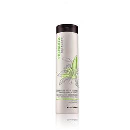 Primaria Sampon pentru par Elgon Weightless Texturizer 200 ml