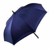 umbrela-ploaie-reversibila-albastra-model-cu-dungi-4.jpg