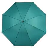 umbrela-ploaie-automata-baston-model-clasic-verde-5.jpg