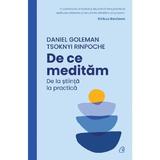 De ce meditam. De la stiinta la practica - Daniel Goleman, Tsoknyi Rinpoche, editura Curtea Veche