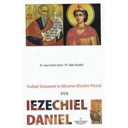 Vechiul testament in talcuirea sfintilor parinti xvii: iezechiel, daniel - ioan sorin usca, valer budiul, editura christiana
