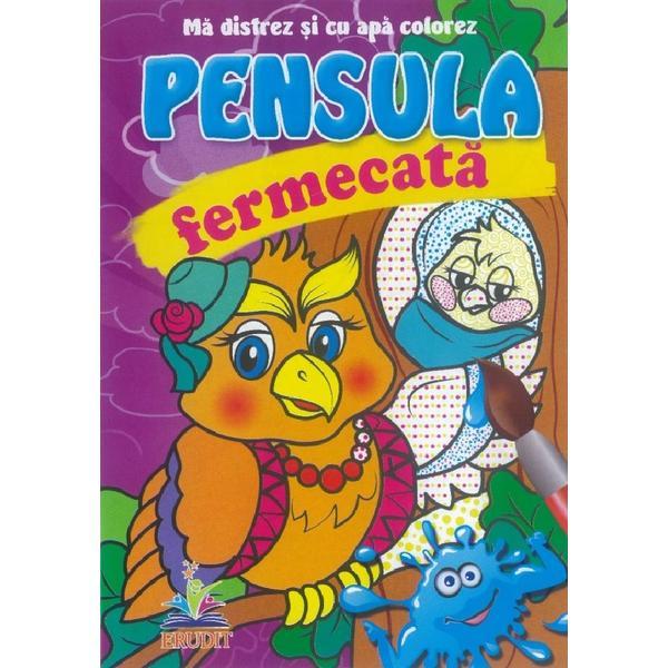 Pensula fermecata. Ma distrez si cu apa colorez. Bufnita, editura Pegas