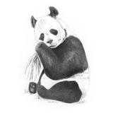 Crochiu incepatori-Panda 13x18 cm