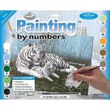 Pictura pe numere juniori - Tigri albi