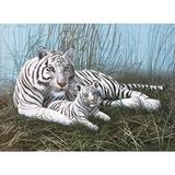 pictura-pe-numere-juniori-tigri-albi-2.jpg