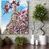 Set premium pictura pe numere (panza) Magnolia in floare la Paris 50x40 cm