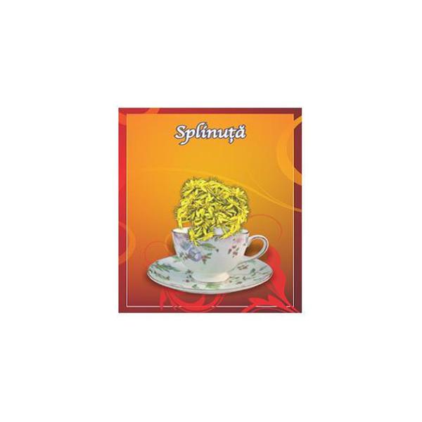 Ceai de Splinuta, Cyani, 50 g