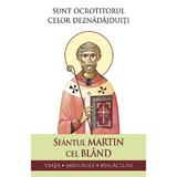 Sunt Ocrotitorul Celor Deznadajduiti. Viata, Minunile, Rugaciuni - Sfantul Martin Cel Bland