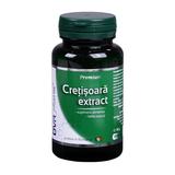 Cretisoara Extract, DVR Pharm, 60 capsule