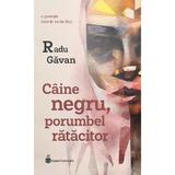 Caine negru, porumbel ratacitor - Radu Gavan, editura Hyperliteratura