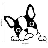 sticker-decorativ-buldog-francez-negru-45x53-cm-3.jpg