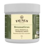 Gel Impotriva Durerilor Reumatice cu Untul - Pamantului, Tataneasca, Arnica - Faunus Plant Reumaticus, 250 ml