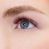 gene-false-kissusa-true-volume-lashes-posh-3.jpg