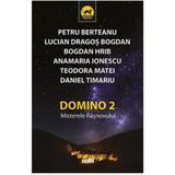 Domino 2 - Lucian Dragos Bogdan, Teodora Matei, Daniel Timariu, editura Tritonic