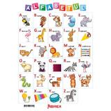 Alfabetul. Plansa A4, editura Librex