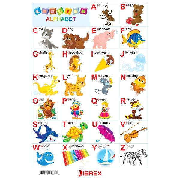 English Alphabet (alfabetul in limba engleza). Plansa A4, editura Librex