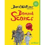 Domnul Sconcs - David Walliams, editura Grupul Editorial Art