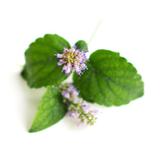 esen-natural-ulei-difuzor-aromaterapie-sys-aromas-patchouli-12-ml-4.jpg
