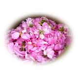esen-natural-ulei-aromaterapie-sys-aromas-trandafiri-12-ml-2.jpg