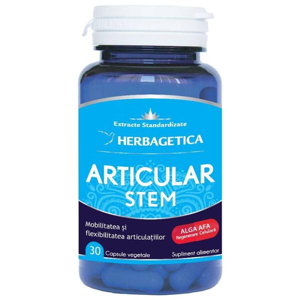 Articular stem herbagetica, 30 capsule vegetale