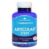 Articular Stem Herbagetica, 120 capsule vegetale