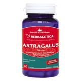 Astragalus 500 mg Herbagetica, 60 capsule