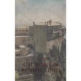 Calatorie in Muntele Athos - Spyridon Bailey, editura Crimca