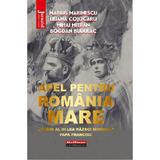 Apel Pentru Romania Mare - Marius Marinescu, Liliana Cojocaru, Mihai Mitran, Bogdan Budulac, Editura Hoffman