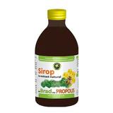 Sirop de Brad cu Propolis - Hypericum, 250 ml